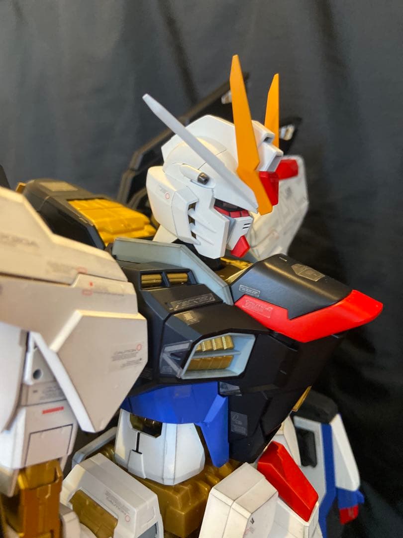 ガンプラ 完成品 PGストライクフリーダム