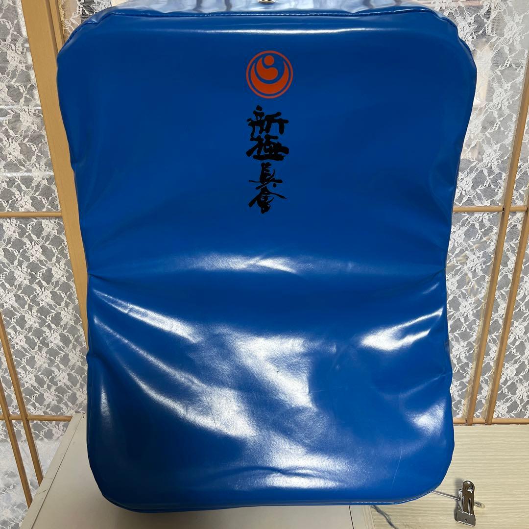 中ミット