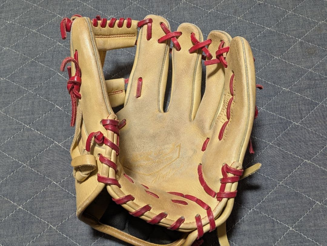 Rawlings THE GOLD GLOVE 右利き用