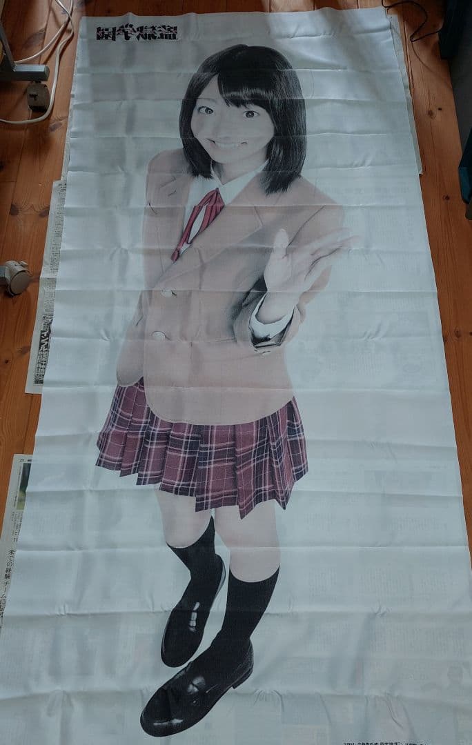 武田玲奈　等身大布ポスター　監獄学園　プリズンスクール