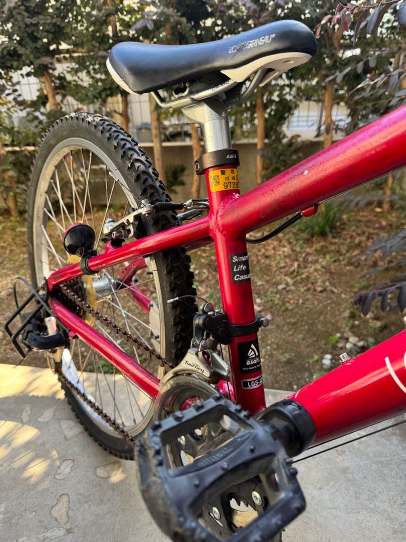ルイガノ LGS-J24 24インチ 2018 LOUIS GARNEAU