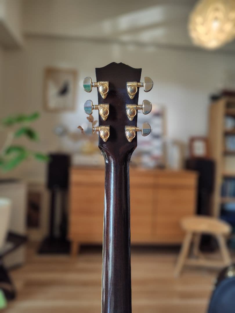 蒲焼き Gibson　J-45 Custom2016 純正ハードケース付属