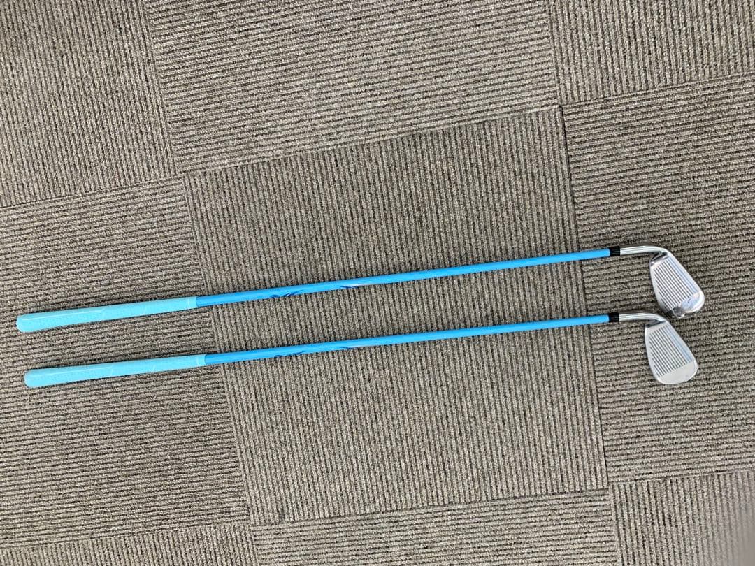 WORLD GOLF レディース ゴルフクラブセット ワールドイーグル