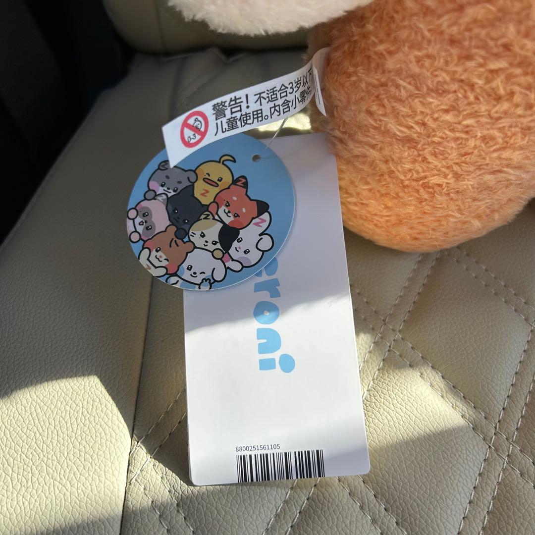 ZB1 ハンビン zeroni binini ビニニ フラットぬいぐるみ