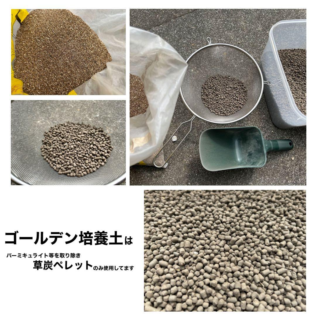 【三本線赤玉土】多肉植物培養土　10㍑　セダム/エケベリア/ハオルチア/アロエ等