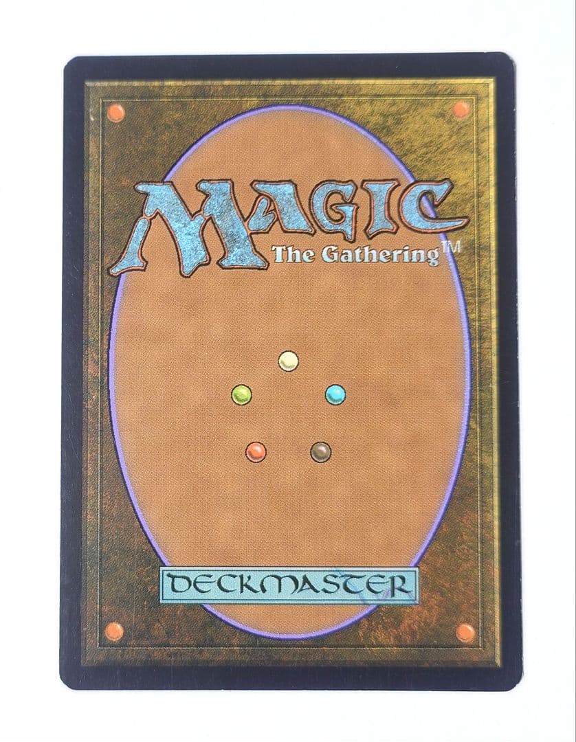 MTG 苦花 FOIL 英語版 初版 モーニングタイド ②