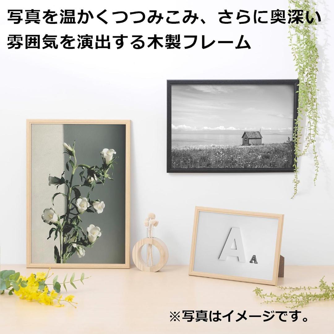 ハクバ HAKUBA 木製額縁 ピクスリア A3サイズ 10枚セット