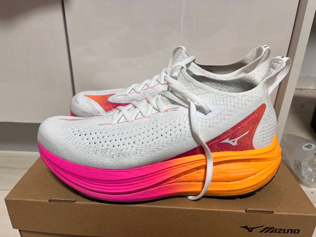 MIZUNO NEO VISTA 2（27.0cm）