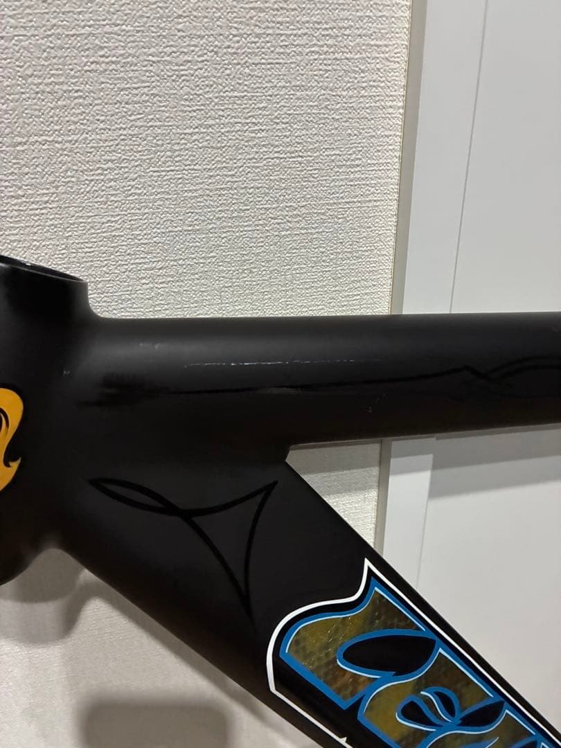 LEADER 735 フレームセット サイズSM 世界 1台