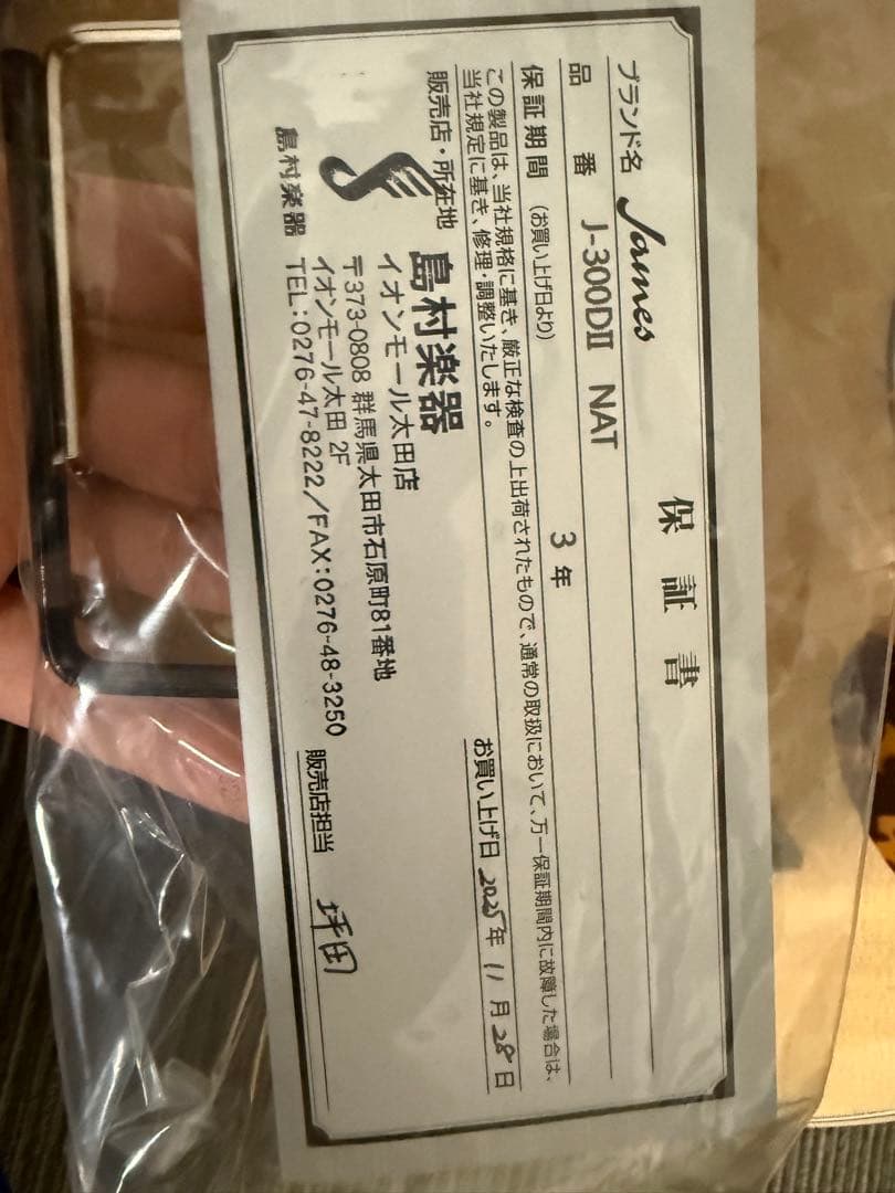 James J-300DI NAT アコースティックギター