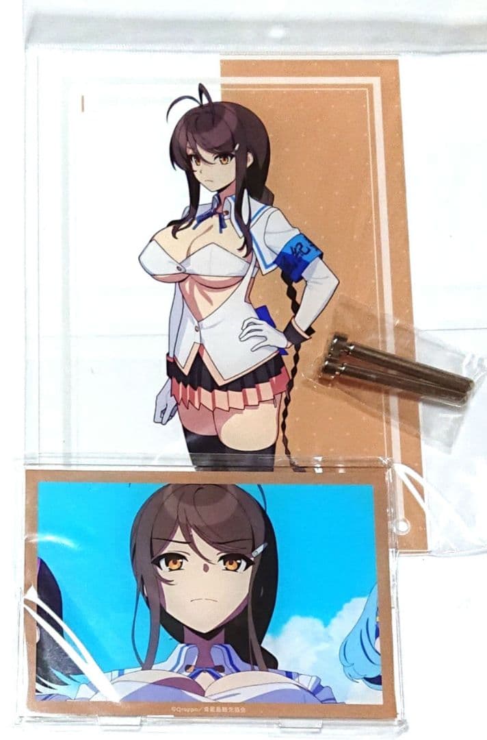 ドロードローくじ ぬきたし 糺川礼 アクリルパネル アクリルスタンド