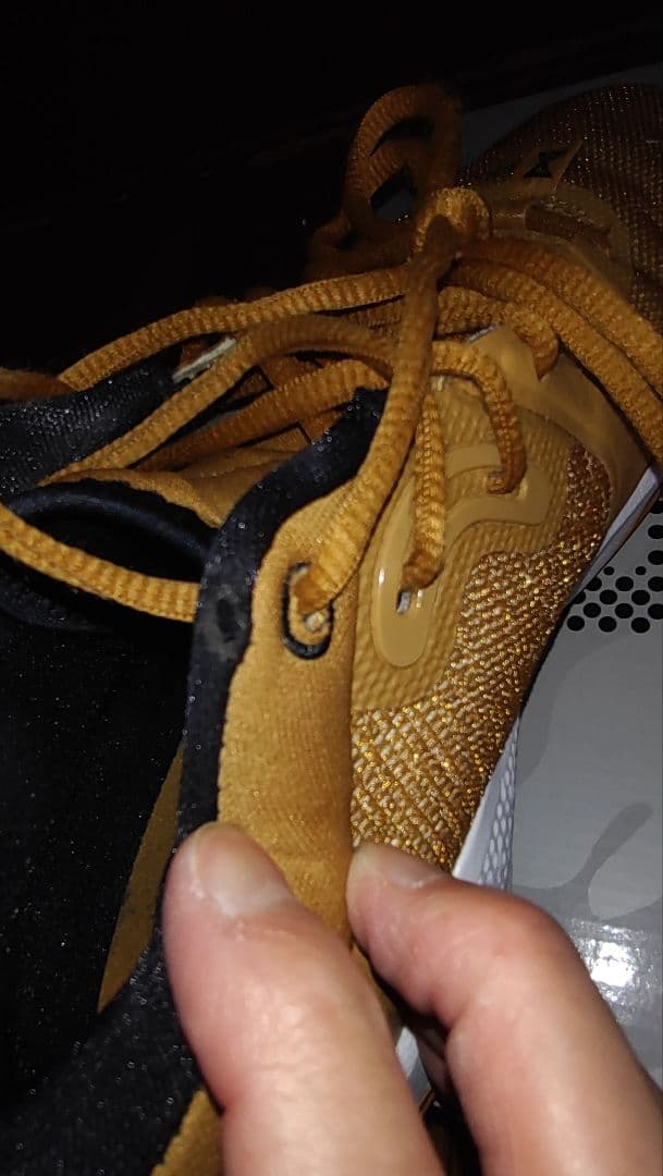 nike　pg5　ゴールド