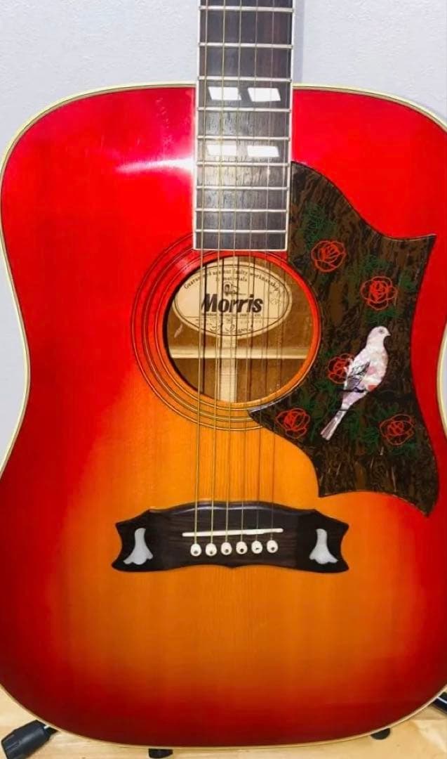 Morris WD25 JAPANVintage GibsonDOVEモデル