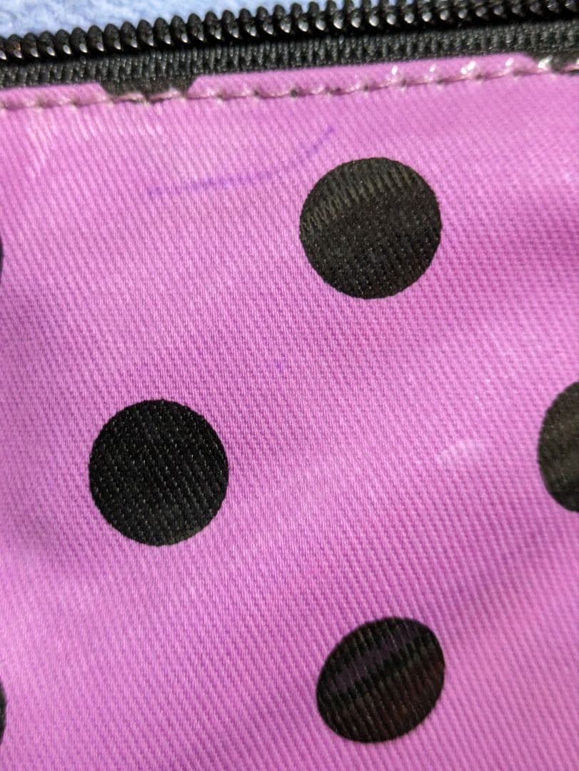 ANNA SUI  ビッグ 巾着バッグ ＆ドットトートバッグプレゼント