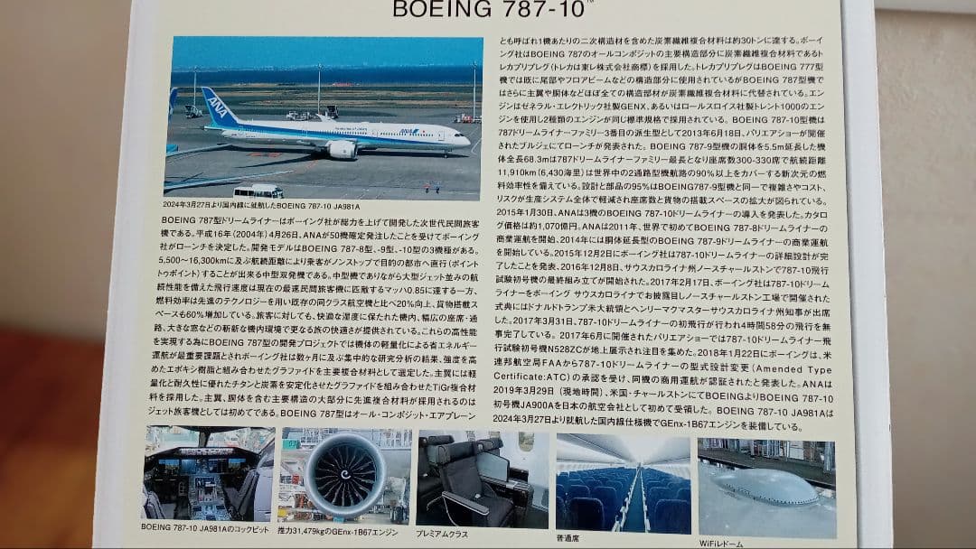 はなをさん専用 ANA Boeing 787-10