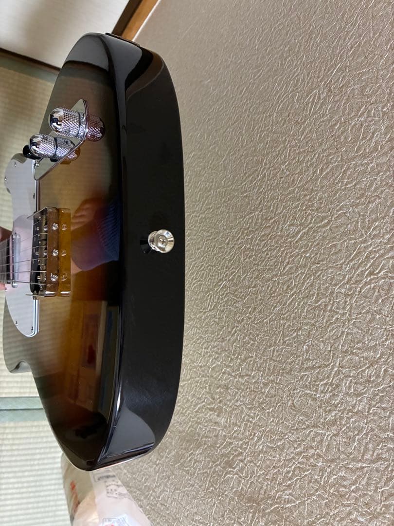 FGN Fujigen フジゲン Neo Classic テレキャスタイプ