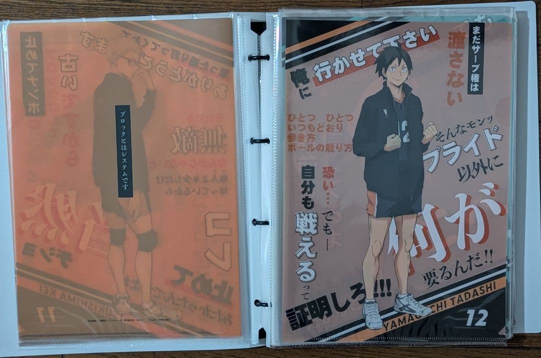 ハイキュー　クリアファイル　コンプ　アニメイト　完売品
