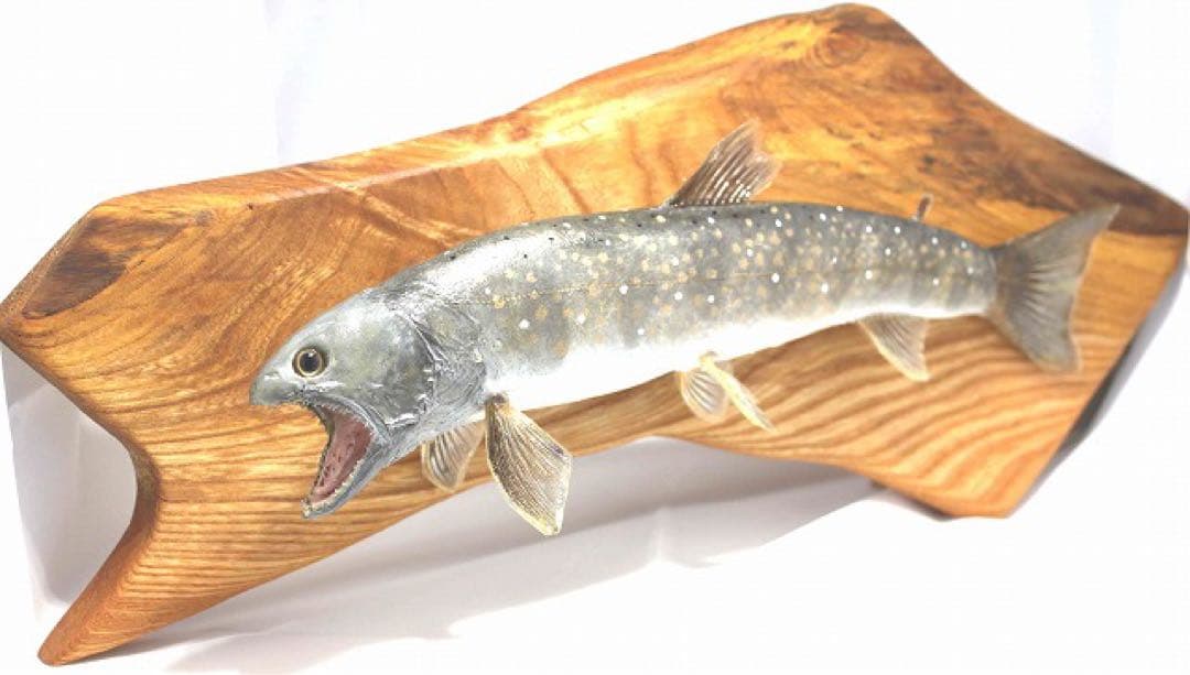 インテリア　渓流魚　岩魚　剥製