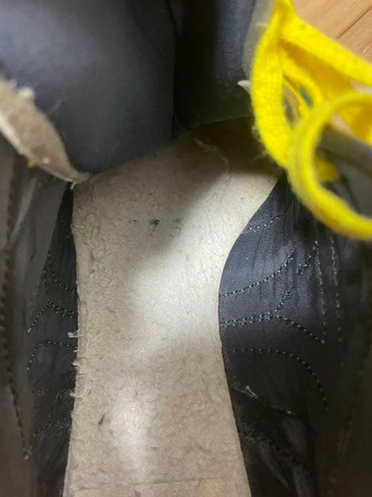 mizuno MORELIA2 Ｇ
