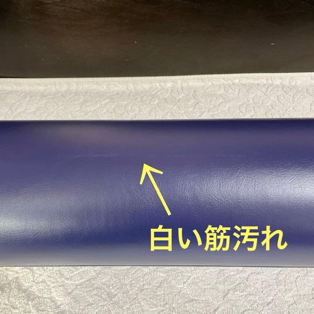 【近日廃棄処分予定】ストレッチポールEX LPN社製