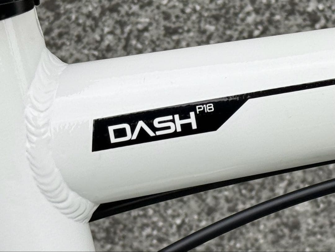 DAHON DASH P18 カスタム車 / ダホン ダッシュ （451化）