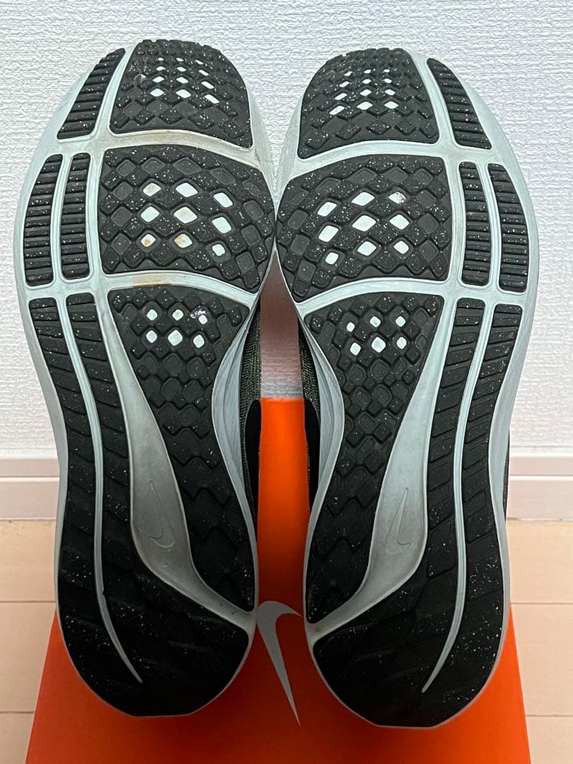 ナイキ エアズームペガサス39|NIKE Air Zoom Pegasus 39