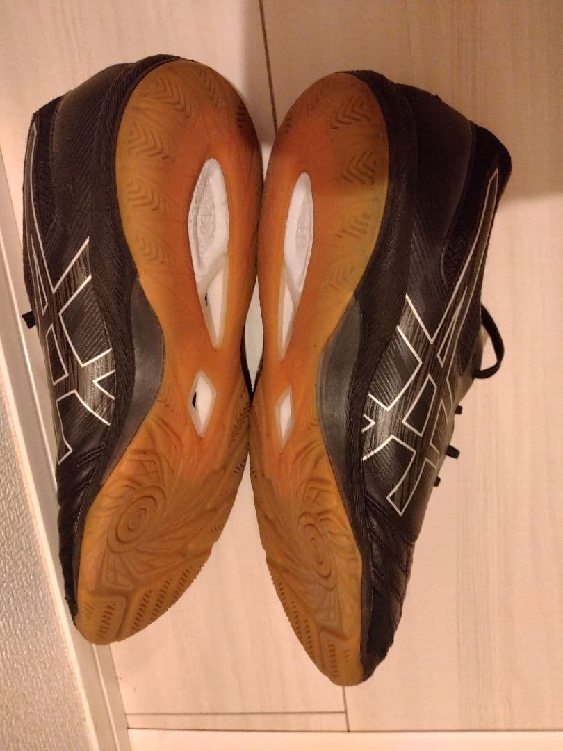 ASICS デスタッキ K FF 27.0cm