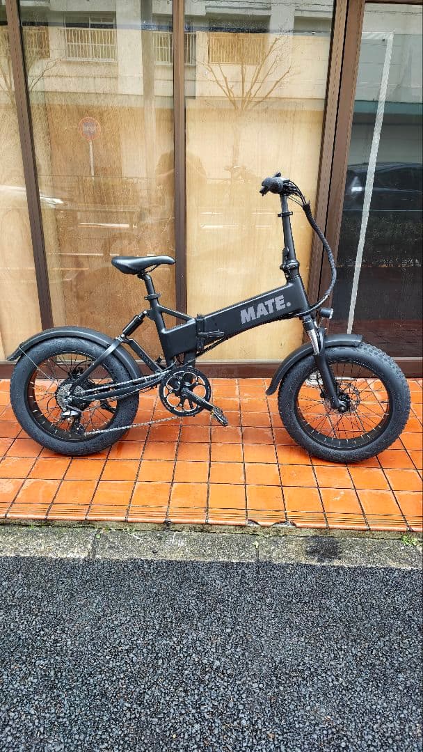 MATE X 250 ２０２５年式