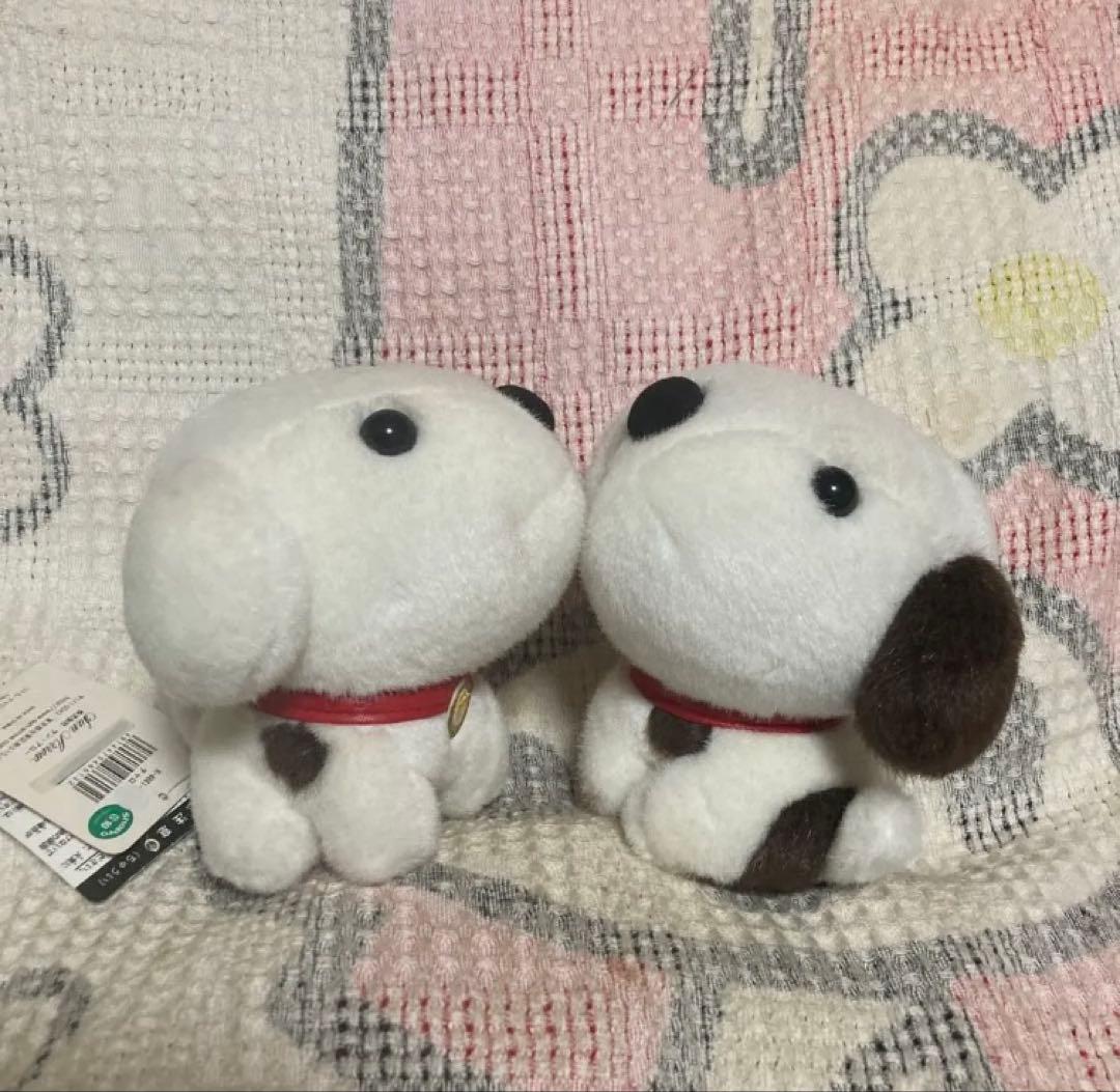 NHK 2008 Little Charo チャロ　ぬいぐるみ　中古品