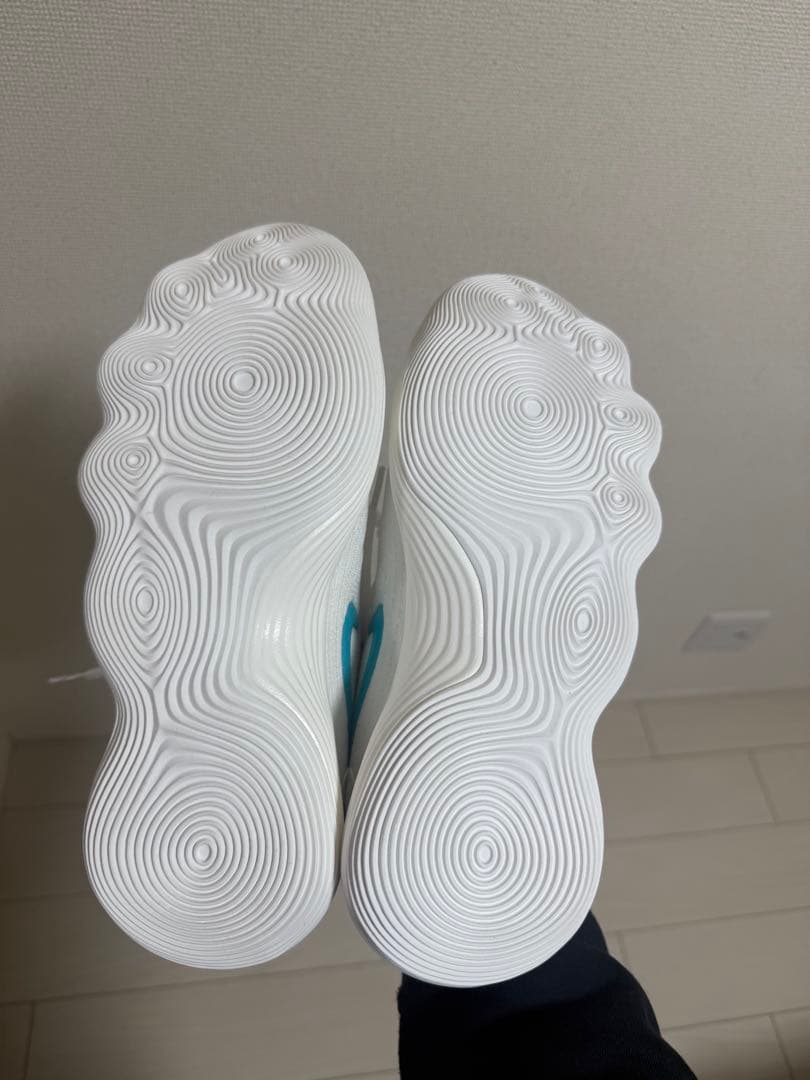 シューズ(男性用) NIKE HYPERDUNK 2017 LOW EP 25.5