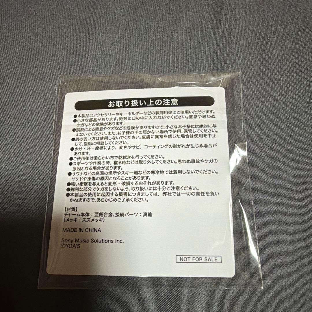 YOA’S necklaceと2023-2025会員継続限定チャーム2個