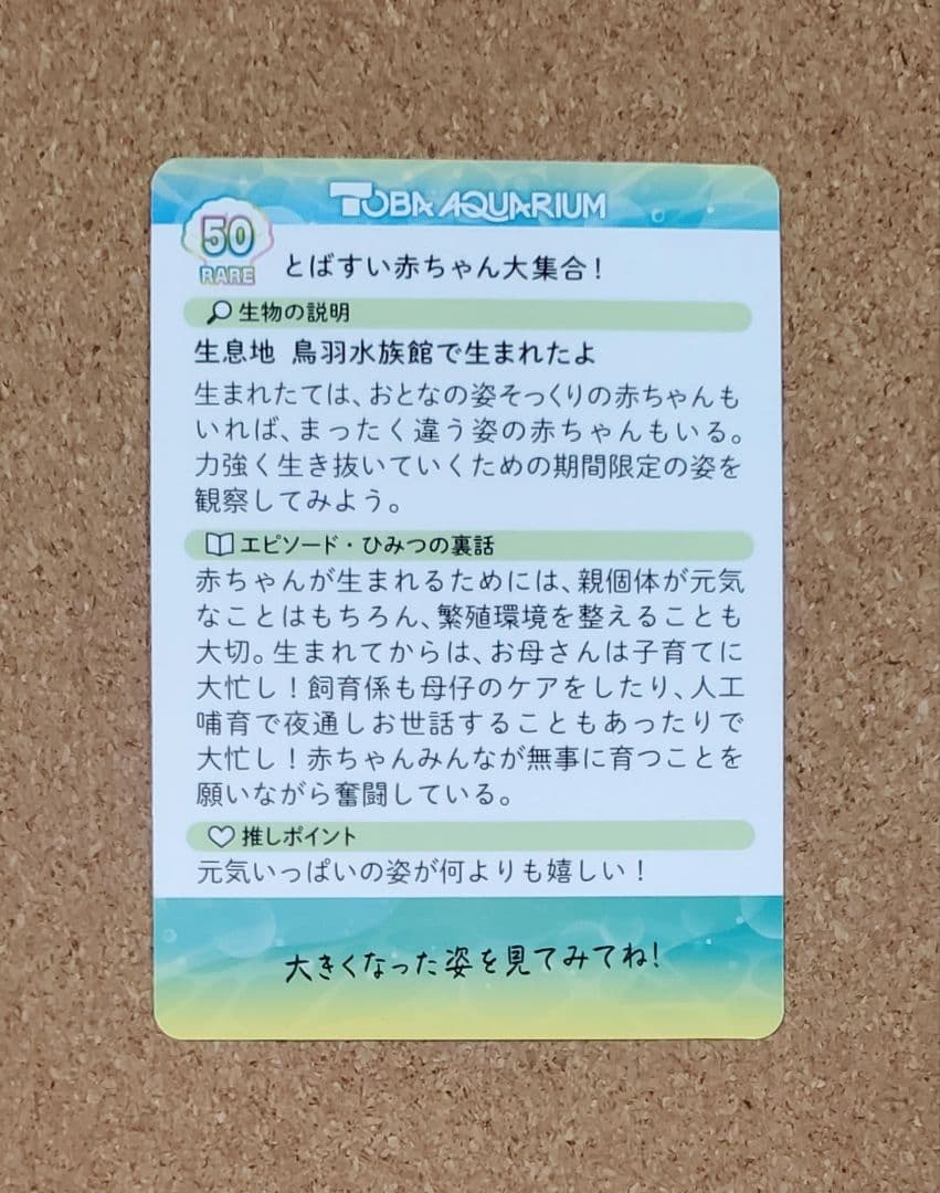 【激レア】鳥羽水族館 とばすいコレカ2 とばすい赤ちゃん大集合！ ラッコ