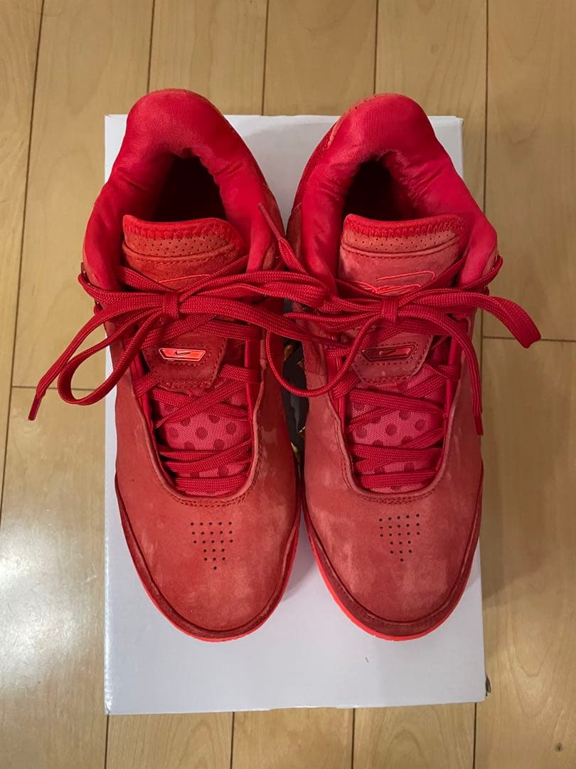 NIKE、レブロン NXXT GEN AMPD EP、27.5センチ