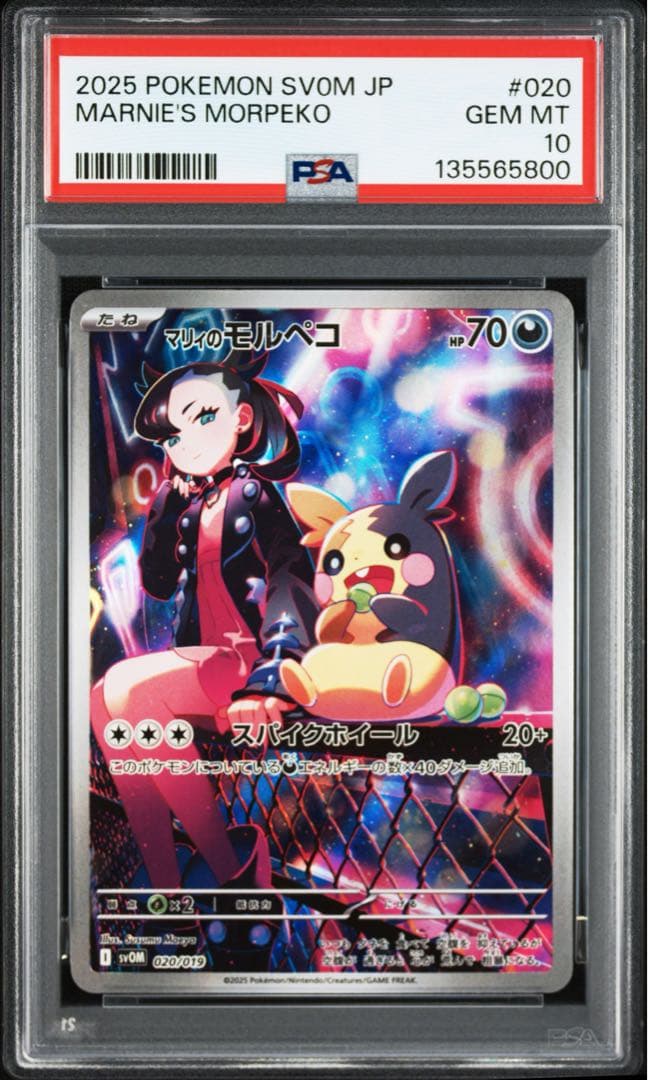【PSA10】マリィのモルペコ AR スターターセットex 020/019