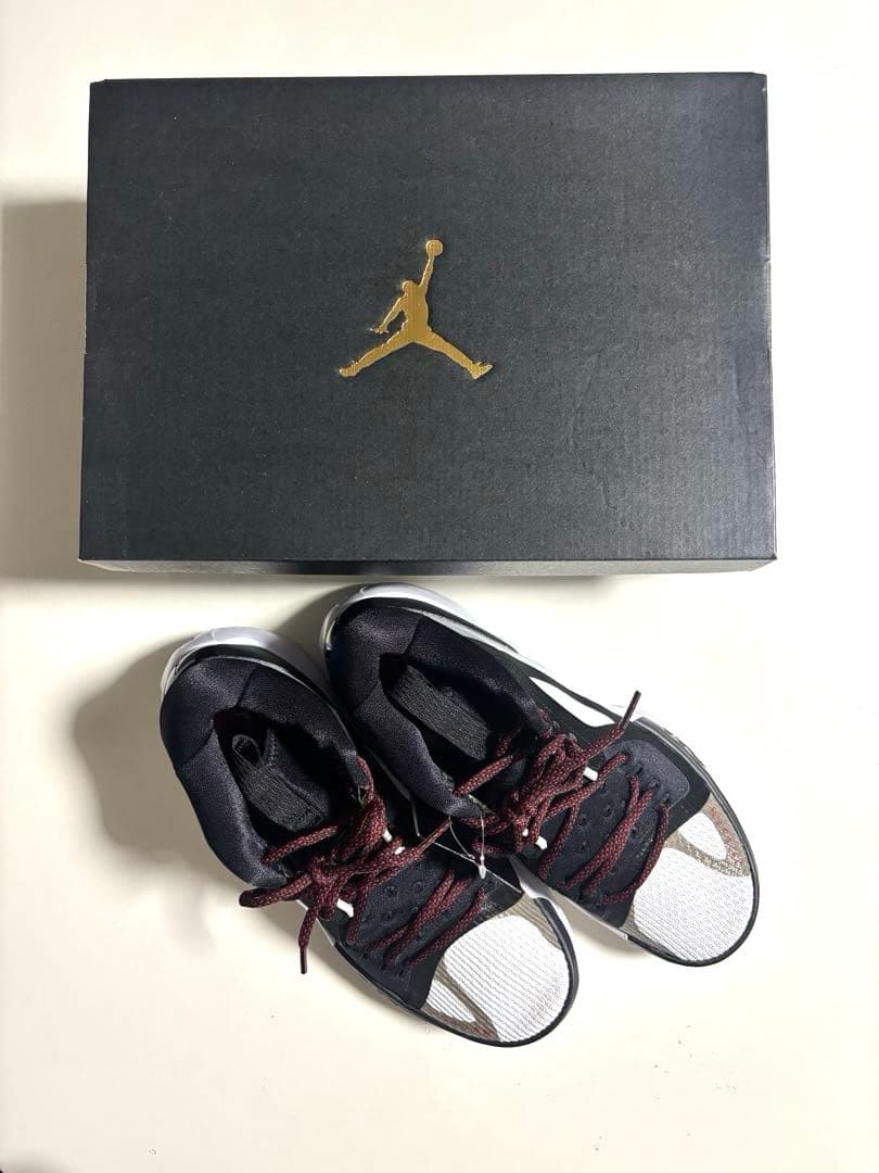 【NIKE】 ジョーダンズームセパレート　24.5㎝