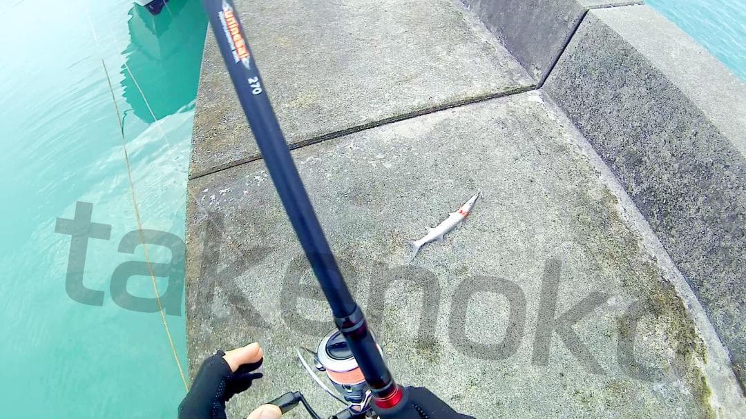 パックロッド　8.8フィート／2.7m　機内持込み可　エギング、ショアジギ等