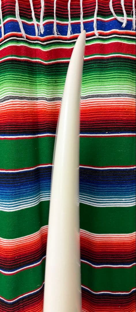 T&C Surf Board SINRモデル 5’7” ※都内手渡し限定品
