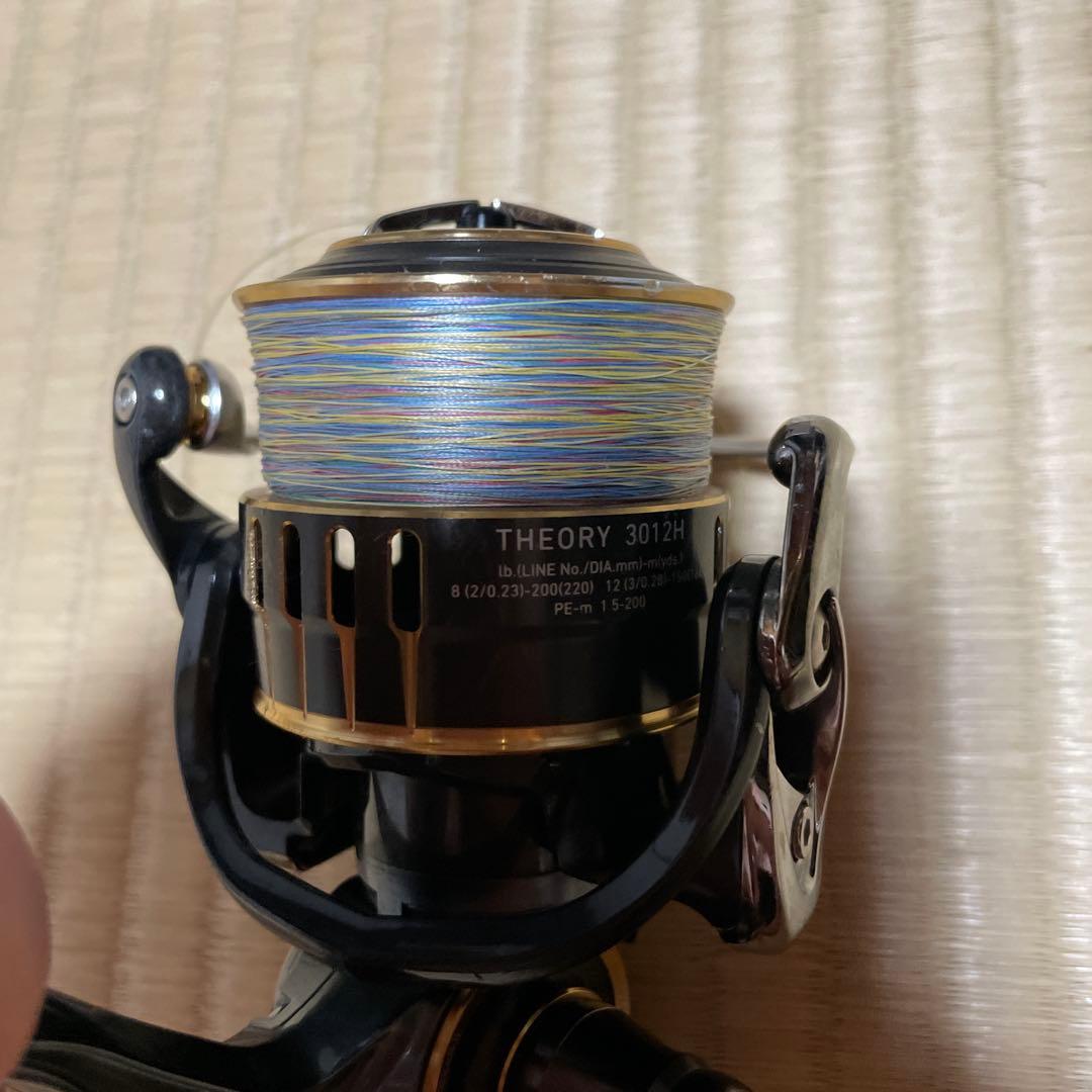 DAIWA THEORY 3012H スピニングリール