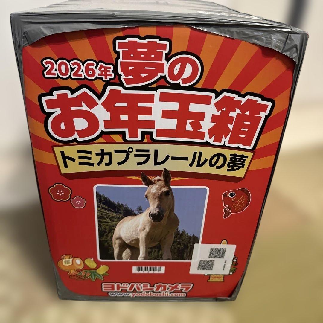 2026年 ヨドバシカメラ　夢のお年玉箱 トミカプラレールの夢