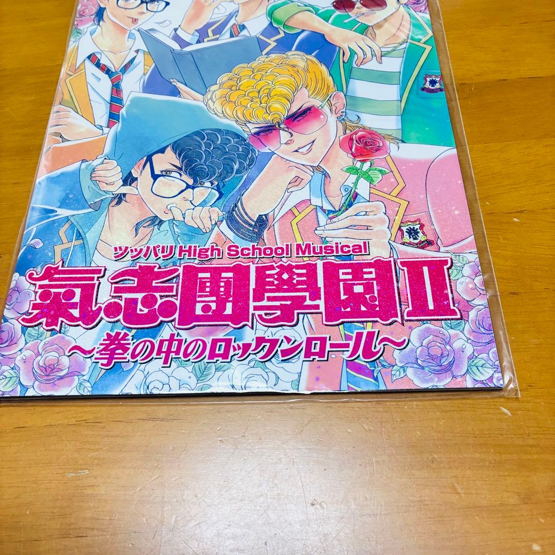 新品未開封氣志團 ツアーパンフレット 2冊2015/2016 希少デッドストック