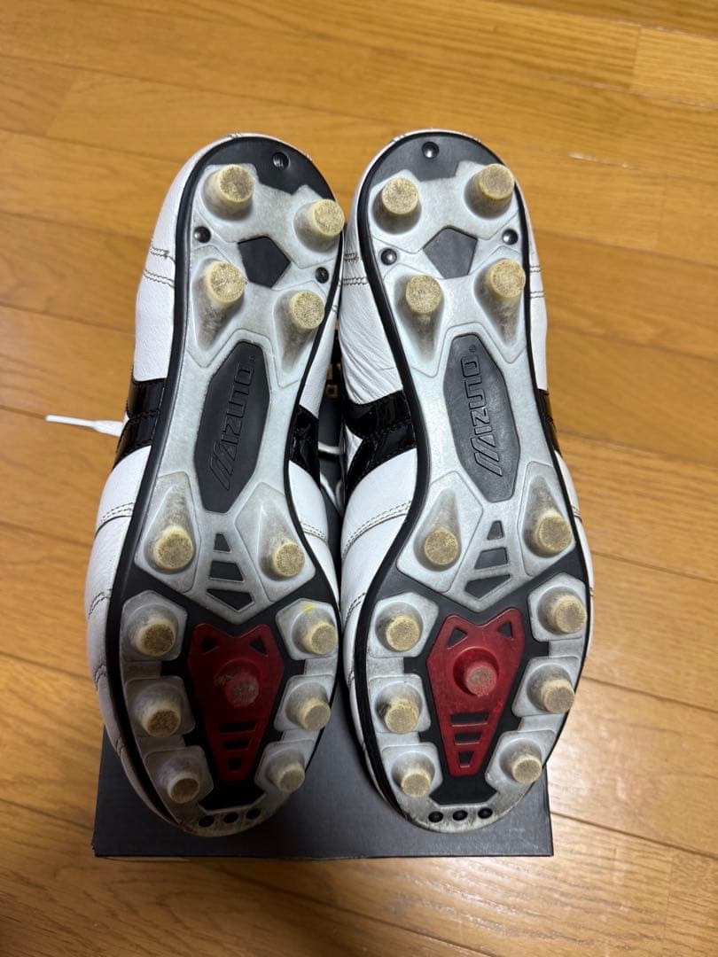 モレリア2Japan 26cm