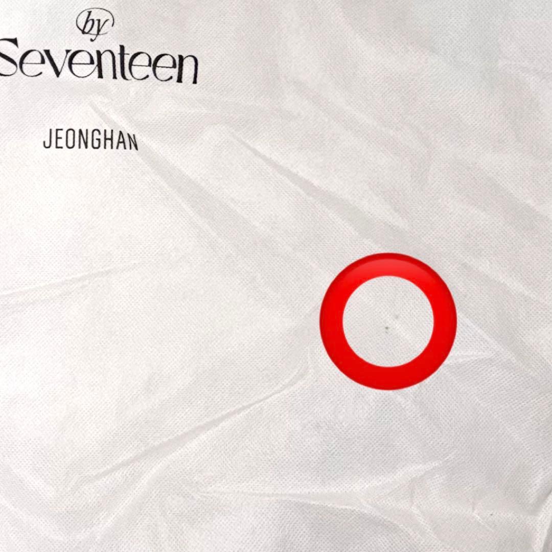 SEVENTEEN ジョンハン トラム ぬいぐるみ
