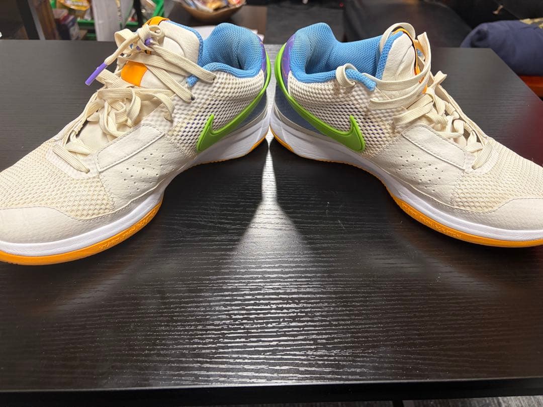 Nike バスケットボールシューズ 12