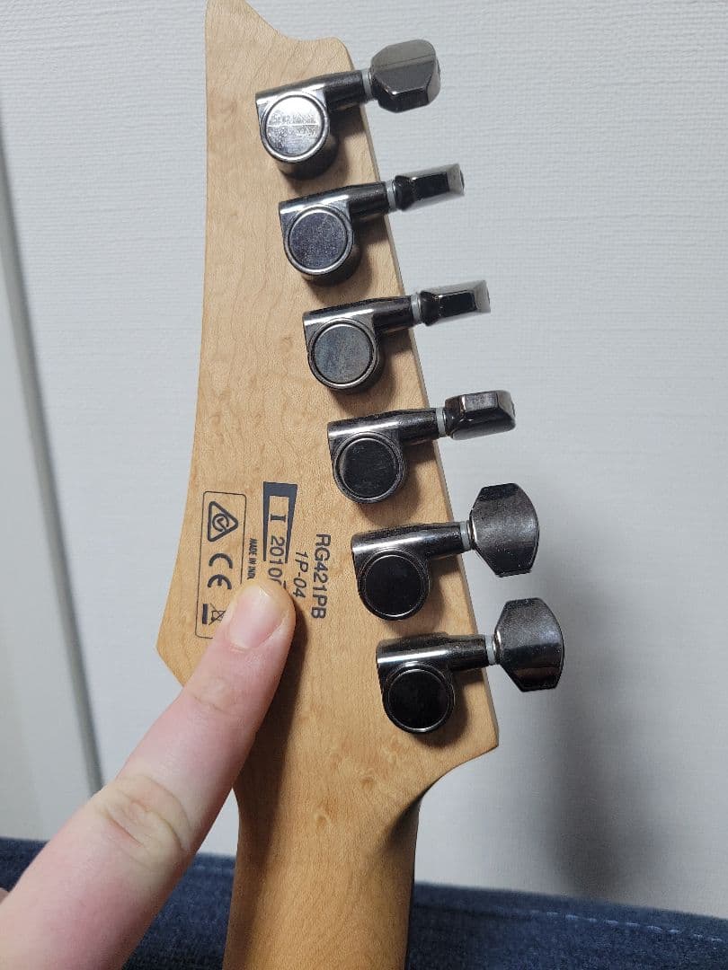 [新春セール]アイバニーズ　Ibanez RG421PB　動作品　おまけ盛り沢山