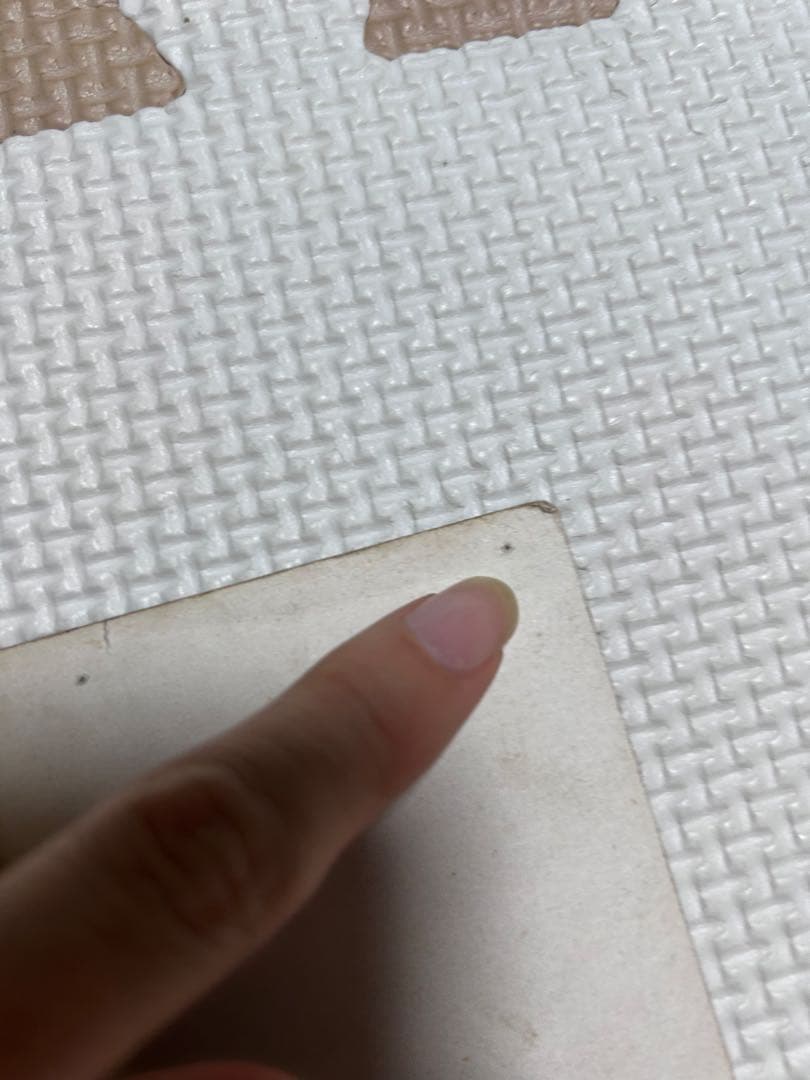 本日まで　再出品！昭和34年　巨人　川上哲治　プロマイド