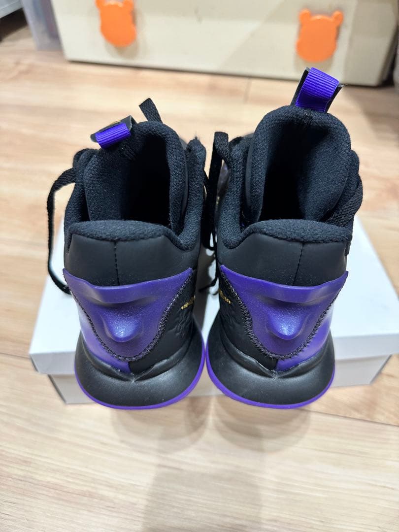LEBRON WITNESS V レブロンウィットネス 24.5cm