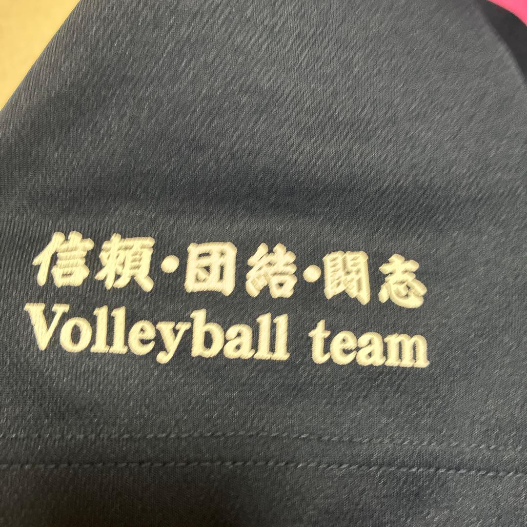 【非売品 激レア高橋藍選手、吉村颯太選手着用】日本体育大学バレーボール部Tシャツ