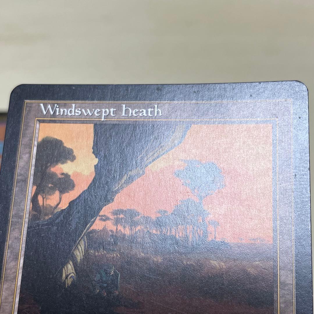 MtG 吹きさらしの荒野 【ONS】英語2枚プレイド