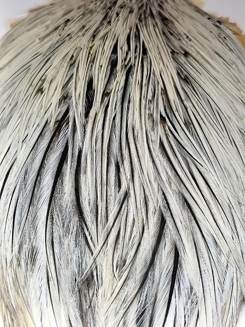 HOFFMAN　DRY FLY HACKLE SUPER CAPE
