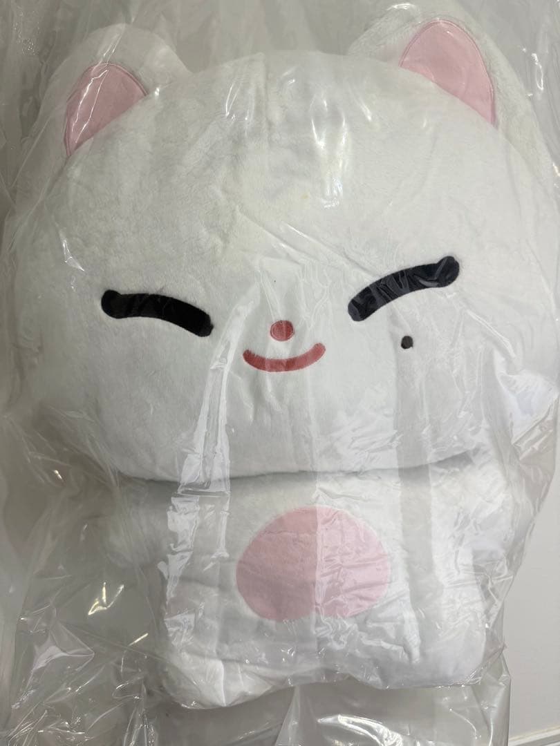 enhypen ソヌ sunoo 50cm ぬいぐるみ